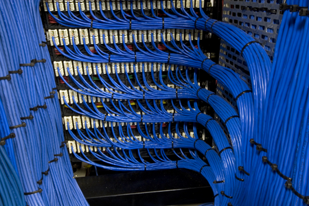 Cabling Blue Zipties
